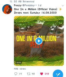 Feezy Sets to release a new brand Video titled - One in a million