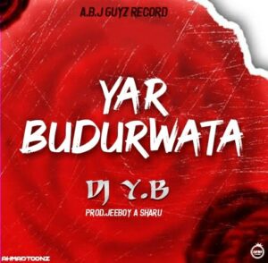 MUSIC: Dj YB - Yar Budurwata [Official Audio]