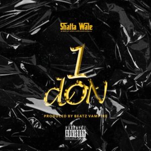 MUSIC: Shatta Wale – 1 Don (Download Mp3)
