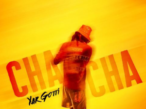 MUSIC: Yak Gotti & Young Stoner Life - Cha Cha Slide mp3