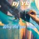FREEBEAT: DJ YK - Why Did You Stop Oxlade Leak Beat Mp3 Download