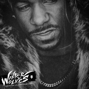 ALBUM: XV - Winter Wolves Zip