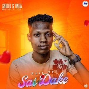 ALBUM: SadeeQ S Tinga - Best Of Sai Dake (Hausa Album 2022)