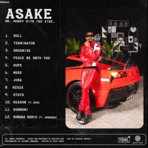 ALBUM: Asake - Mr. Money With The Vibe