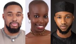 Details of how viewers voted Sheggz, Dotun, Allyson emerge