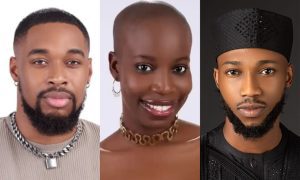 Details of how viewers voted Sheggz, Dotun, Allyson emerge