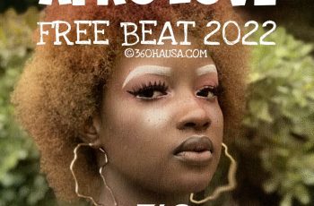 FREEBEAT: LOVE BOUNCE 2022 Instrumental ( Rema Ft. Burna Boy Type Beat )