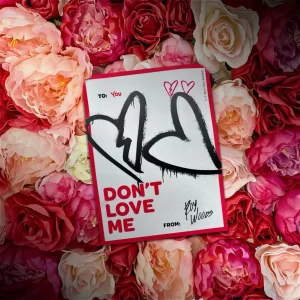 MUSIC: Roy Woods - Don’t Love Me
