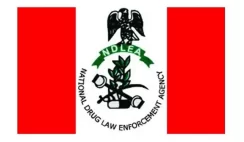 NDLEA Recruitment Exercise for Young Nigerian Graduates 2023