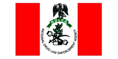 NDLEA Recruitment Exercise for Young Nigerian Graduates 2023