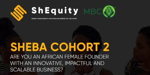 Apply ShEquity Accelerator Program For African Entrepreneurs 2023