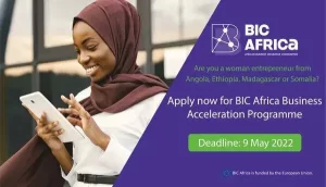 BIC Africa Acceleration Programme For African Entrepreneurs 2023
