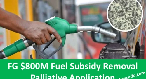FG $800M Fuel Subsidy Removal Palliative (Application Process, Disbursement)