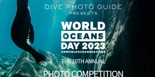 United Nations World Oceans Day Photo Competition 2023