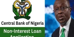 CBN Non-Interest Loan 2023 Application Guidelines