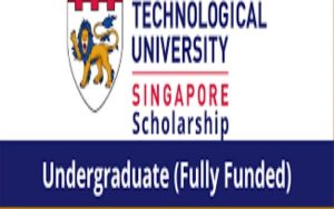 Nanyang International Scholarships in Singapore 2023/2024