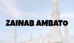WAKAR BEGE: Zainab Ambato – Remix Mp3