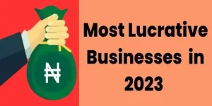 Top 14 Most Lucrative Businesses In Nigeria 2023
