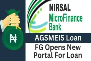 FG Opens New Portal For AGSMEIS Loan