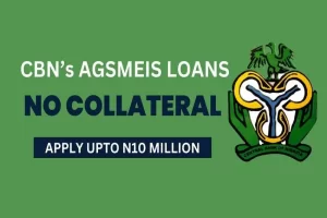 How To Apply For CBN AGSMEIS Loan In Nigeria