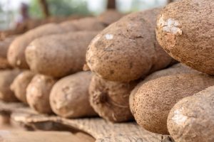 List Of 10 Largest Yam Producing States In Nigeria