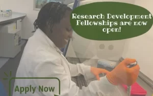 AREF Research Development Fellowship For African Researchers 2024