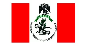 Download NDLEA Shortlisted Candidates For Interviews PDF
