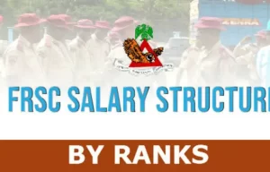 FRSC Salary Structure 2023: How Much Do Road Safety Officers Earn?