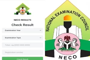 How to Check 2023 NECO SSCE Results: A Step-by-Step Guide